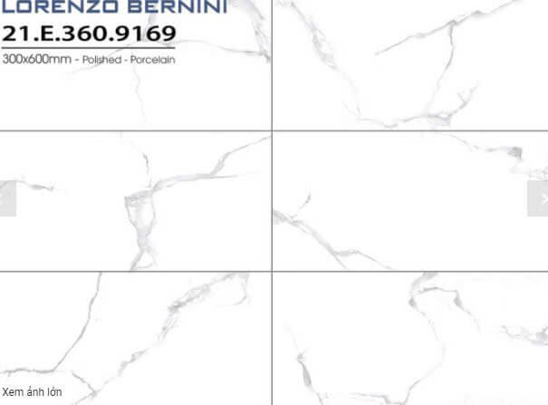 Á Mỹ - 21.E.360.9169