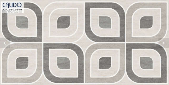 Á Mỹ - 22.C.360.3598