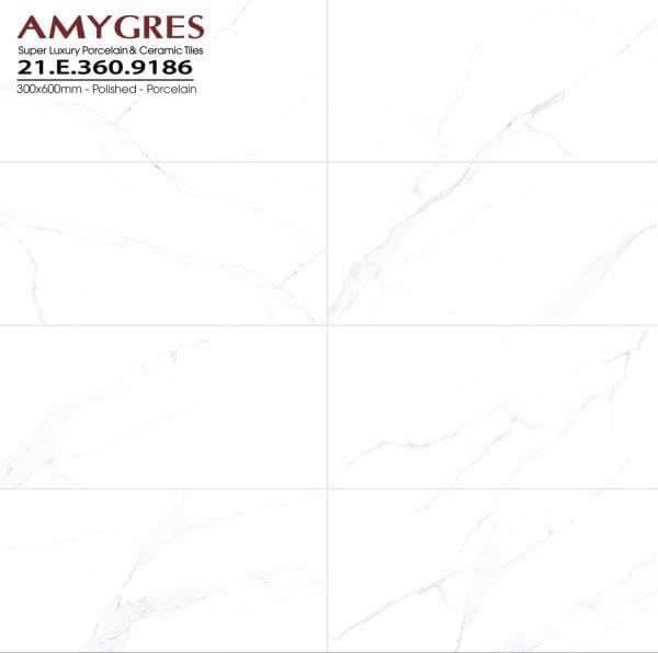 Á Mỹ - 21.E.360.9186