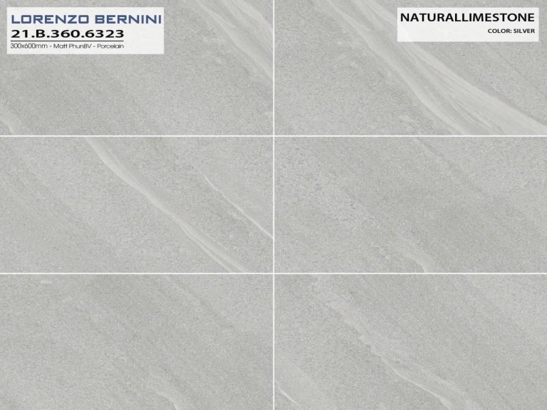 Á Mỹ - 21.B.360.6323