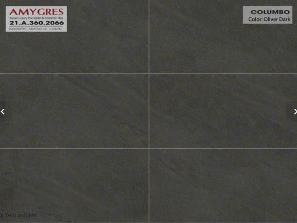 Á Mỹ - 21.A.360.2066