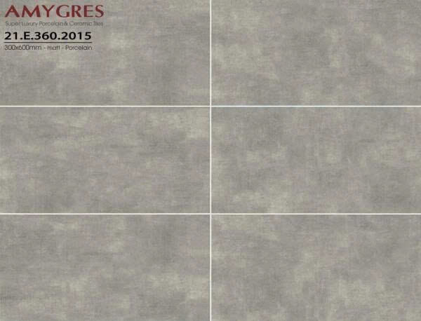 Á Mỹ - 21.E.360.2015