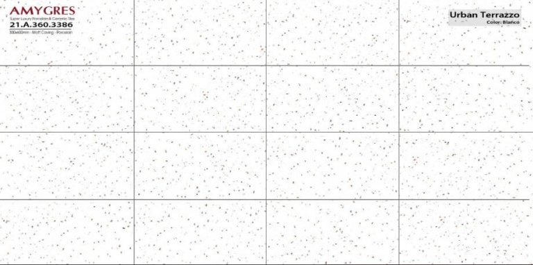 Á Mỹ - 21.A.360.3386