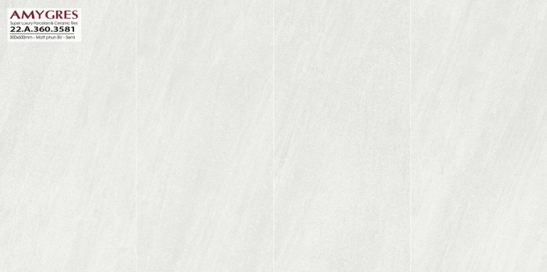 Á Mỹ - 21.A.360.3581