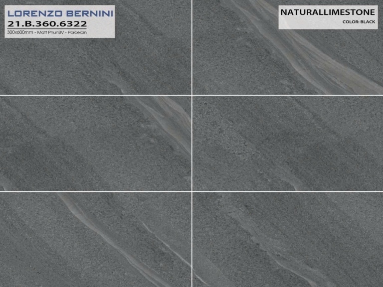 Á Mỹ - 21.B.360.6322