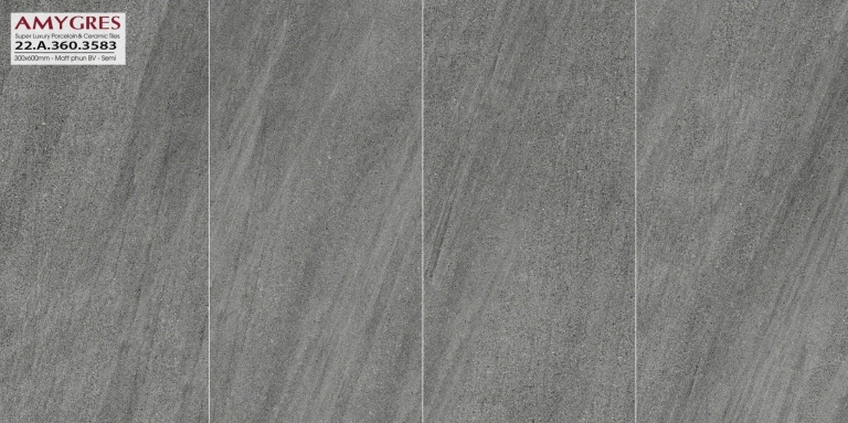 Á Mỹ - 21.A.360.3583