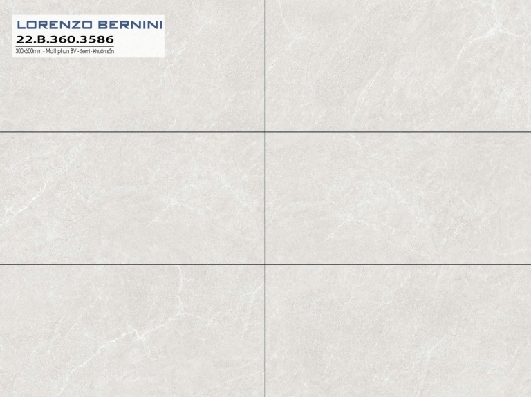 Á Mỹ - 22.B.360.3586