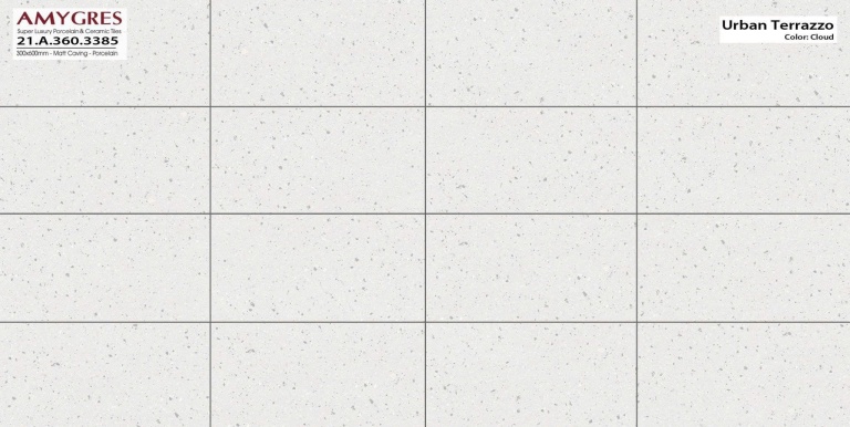 Á Mỹ - 21.A.360.3385