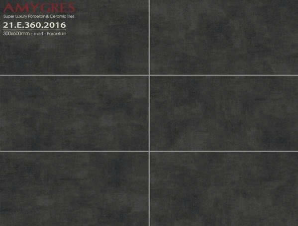 Á Mỹ - 21.E.360.2016