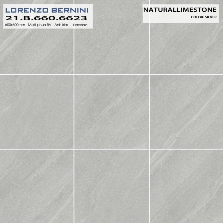 Á Mỹ - 21.B.660.6623