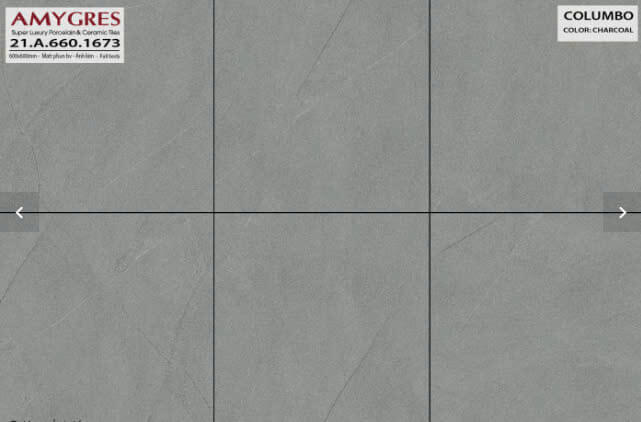 Á Mỹ - 21.A.660.1673