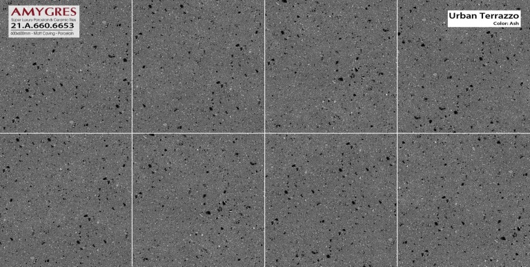 Á Mỹ - 21.A.660.6653