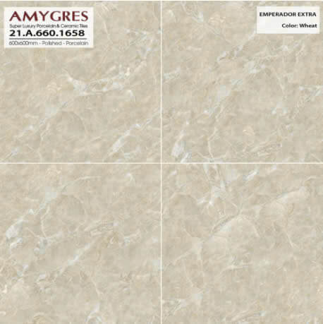 Á Mỹ - 21.A.660.1658