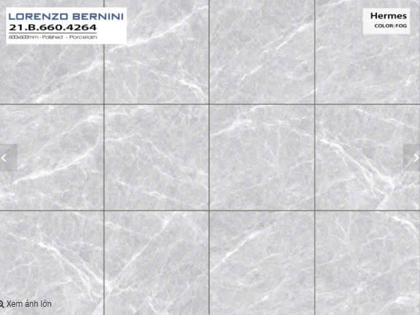 Á Mỹ - 21.B.660.4264