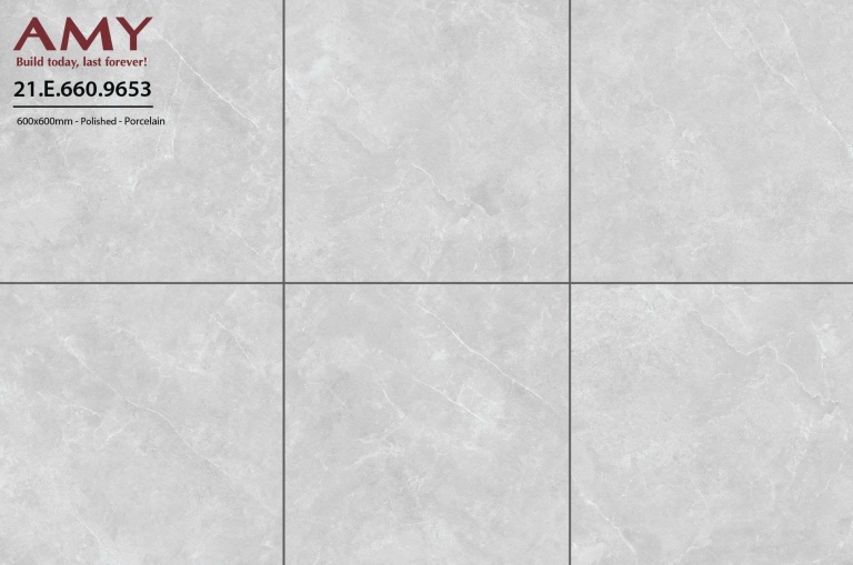 Á Mỹ - 21.E.660.9653