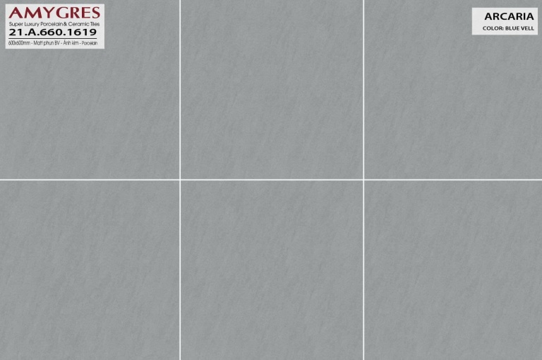 Á Mỹ - 21.A.660.1619