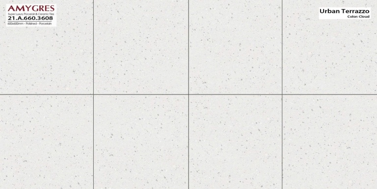 Á Mỹ - 21.A.660.3608