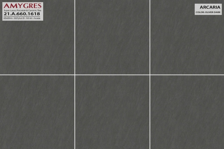 Á Mỹ - 21.A.660.1618