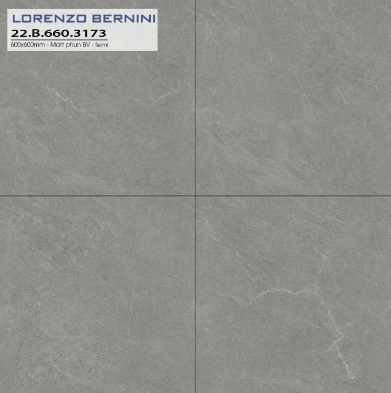 Á Mỹ - 22.B.660.3173