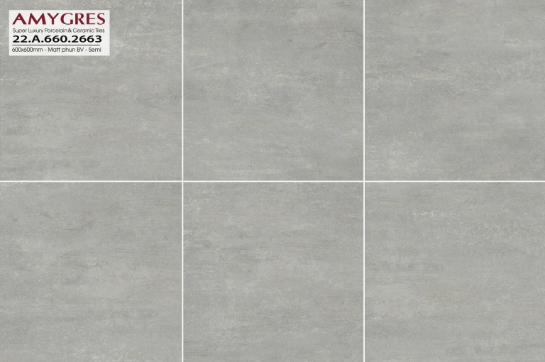 Á Mỹ - 22.A.660.2663