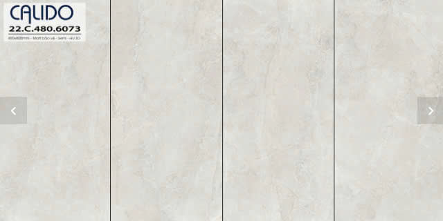 Á Mỹ - 22.C.480.6073