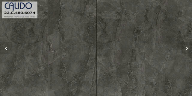 Á Mỹ - 22.C.480.6074