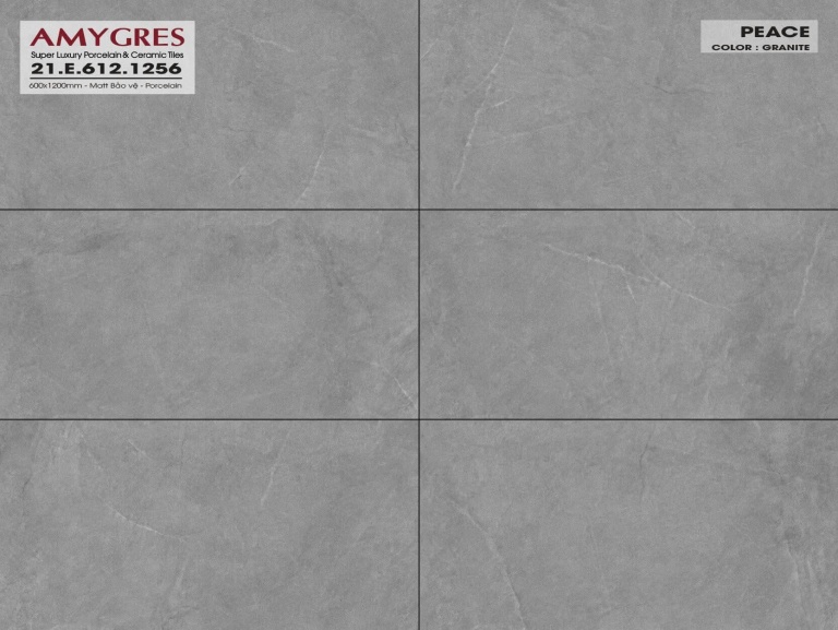 Á Mỹ - 21.E.612.1256