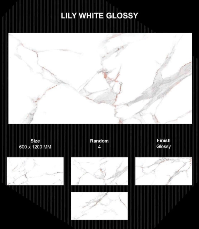 Gạch Ấn Độ - LILY WHITE GLOSSY