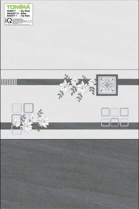 TTP - M36577 - DM36577-3 - M36577-1