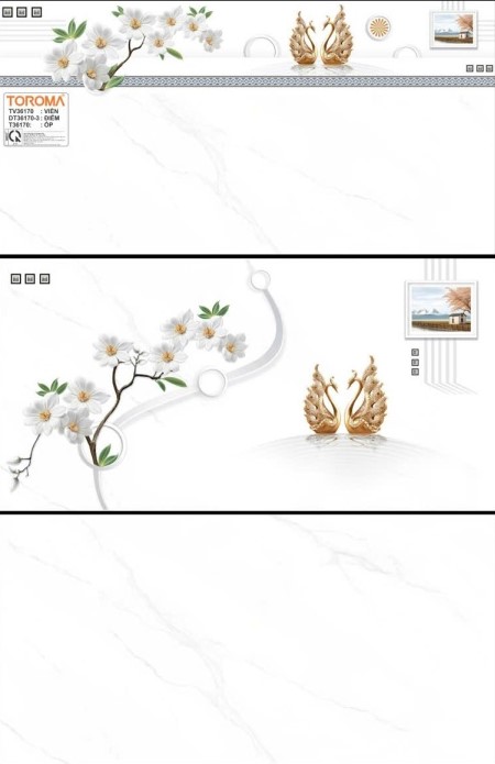 TTP - TV36170 - DT36170-3 - T36170