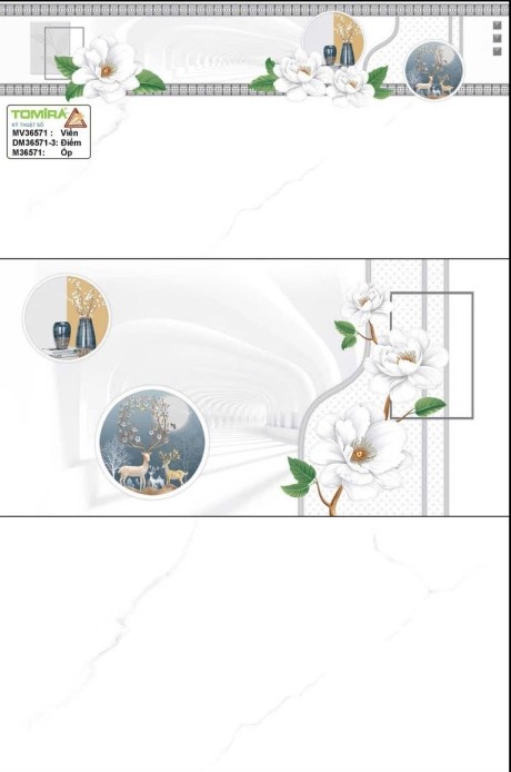 TTP - MV36571 - DM36571-3 - M36571