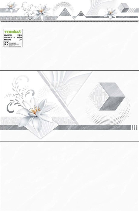 TTP - MV36575 - DM36575-3 - M36575