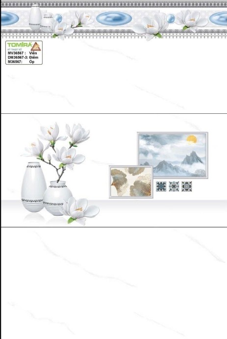 TTP - MV36567 - DM36567-3 - M36567