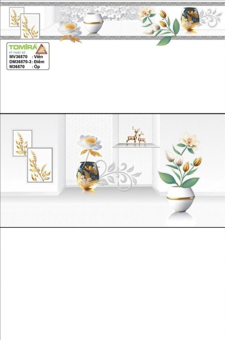 TTP - MV36570 - DM36570-3 - M36570