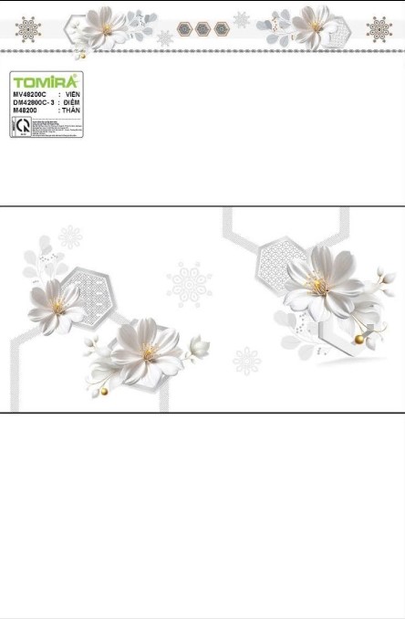 TTP - MV48200C - DM48200-3 - M48200