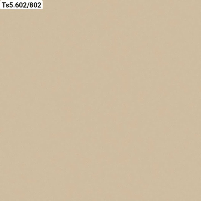 Viglacera - TS5.602/802