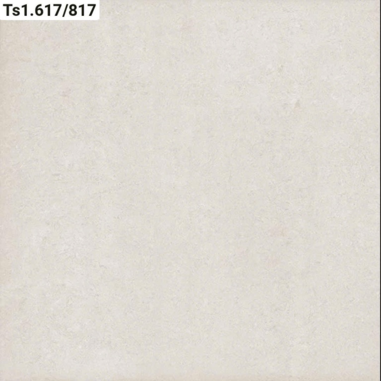 Viglacera - TS1.617/817