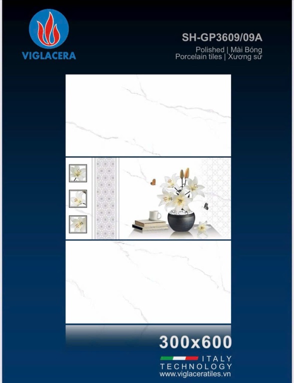 Viglacera - SH-GP3609/09A