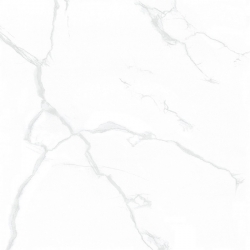 Taicera - G88085 (GP88085)