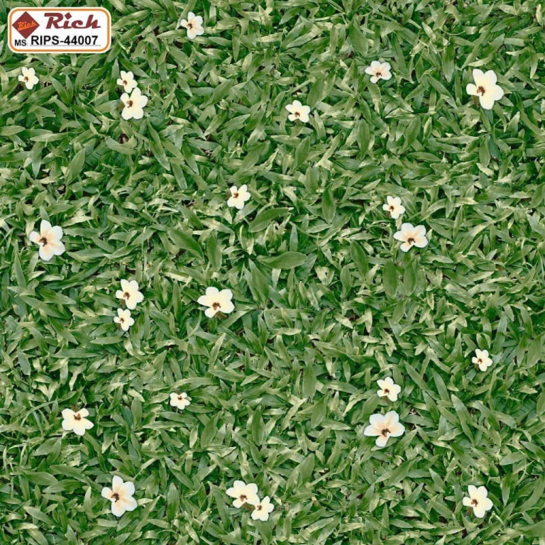 Nhà Ý - RIPS-44007