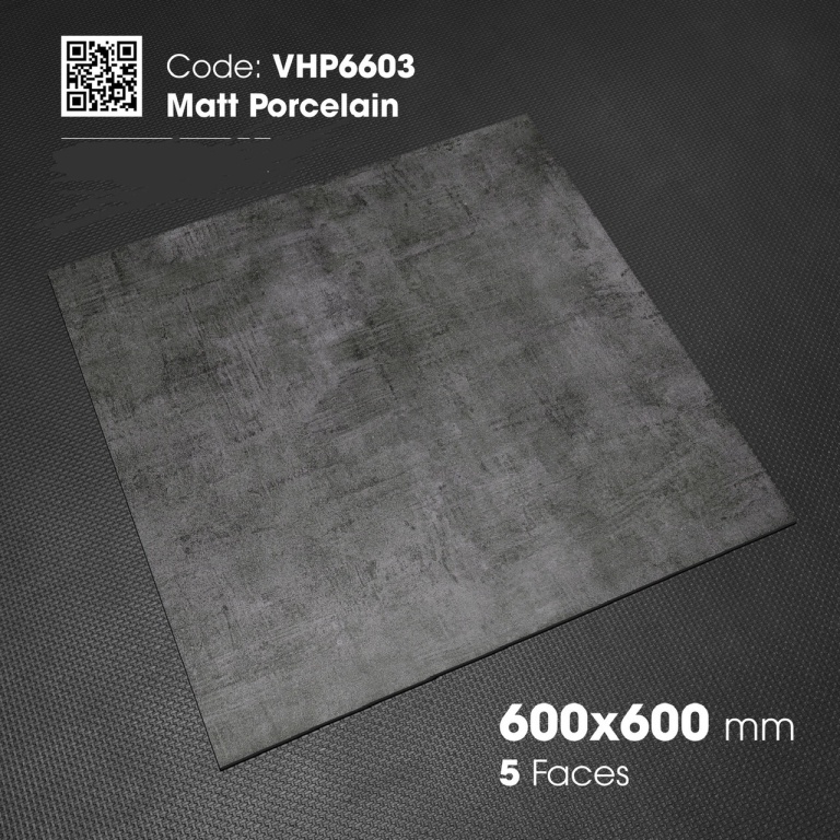Viglacera - VHP6603
