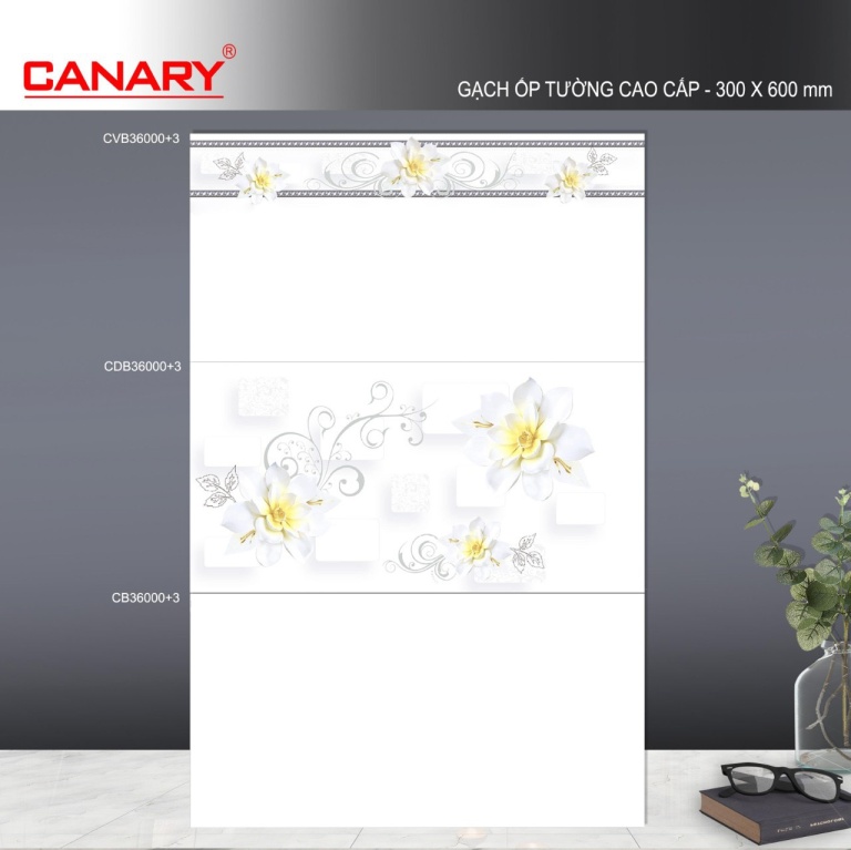 TTC - CVB36000+3 - CDB36000+3 - CB36000+3