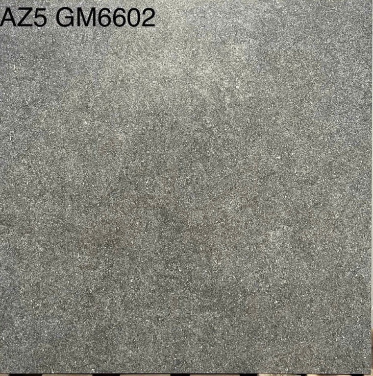 Viglacera - AZ5 GM6602