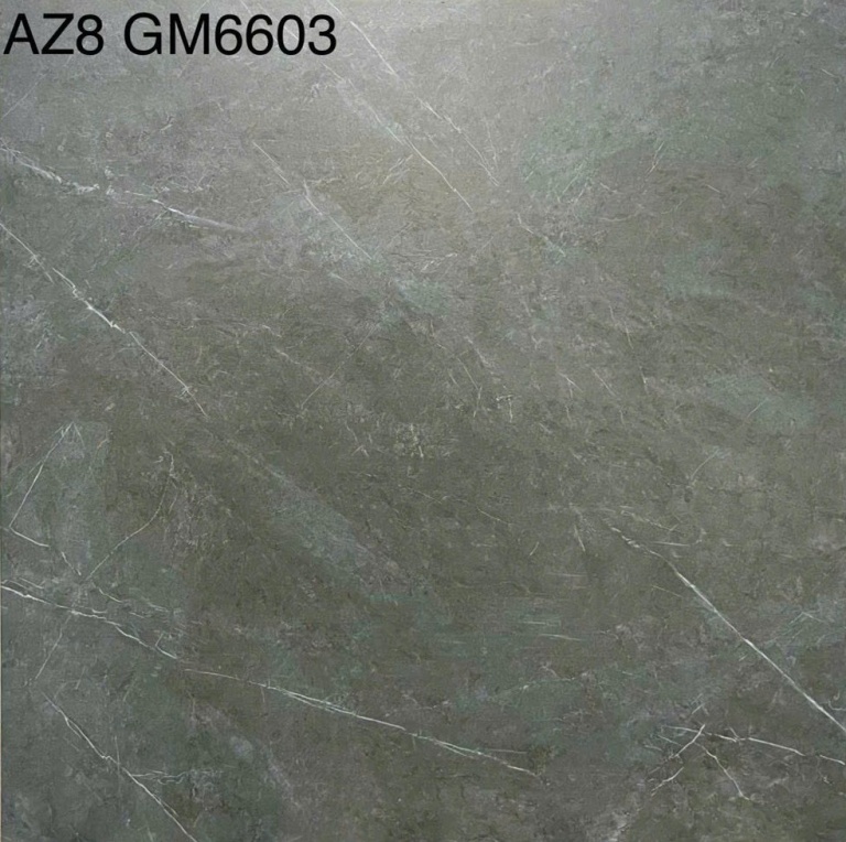 Viglacera - AZ8-GM6603