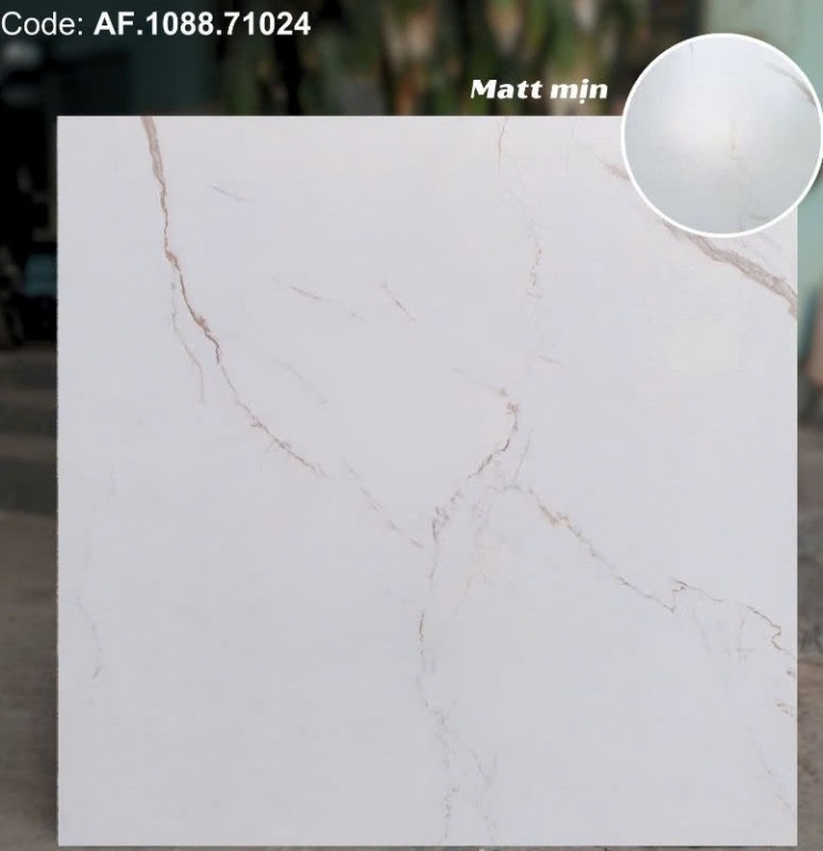 Apodio - AF.1088.71024