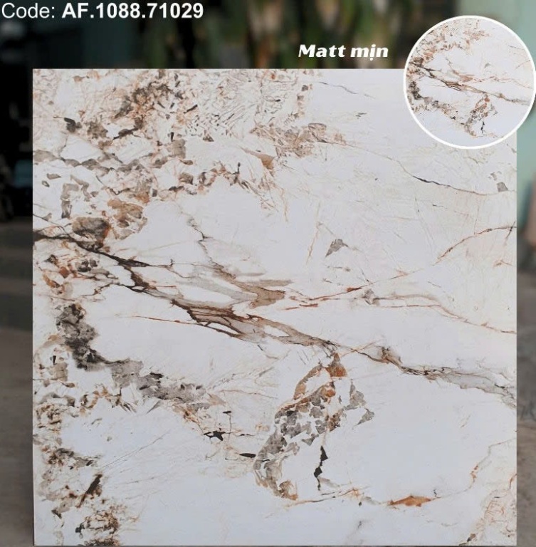 Apodio - AF.1088.71029