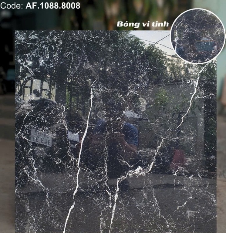 Apodio - AF.1088.8008