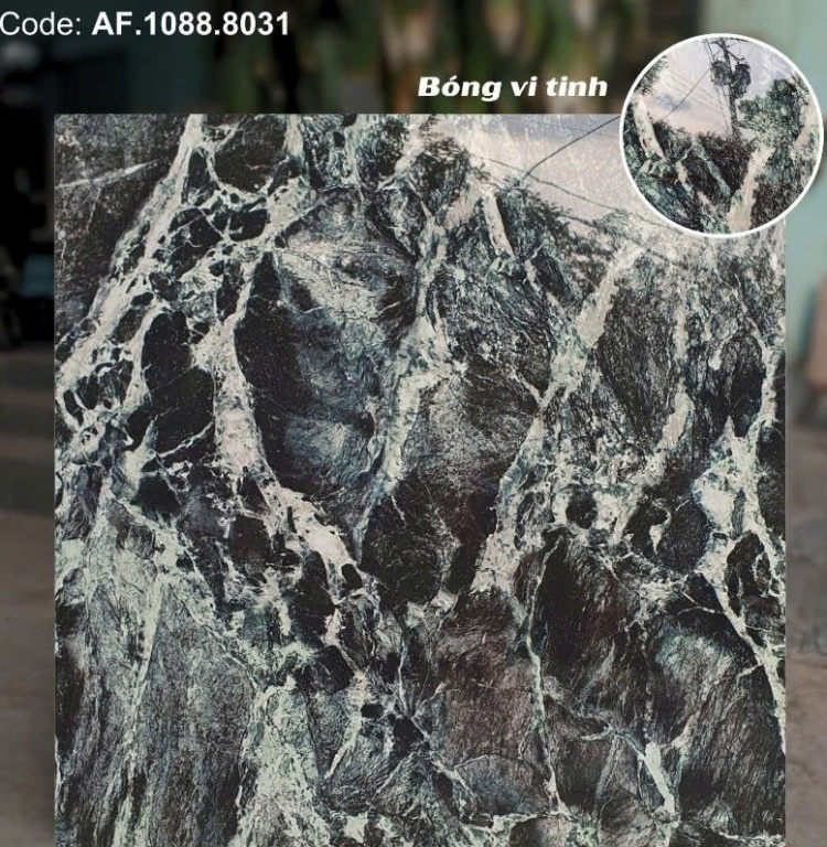 Apodio - AF.1088.8031