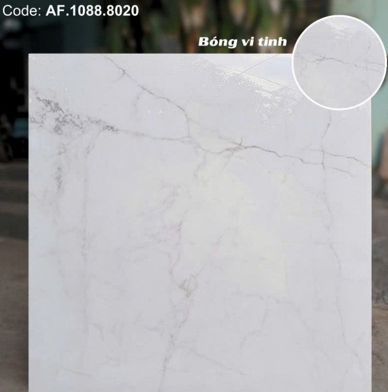 Apodio - AF.1088.8020