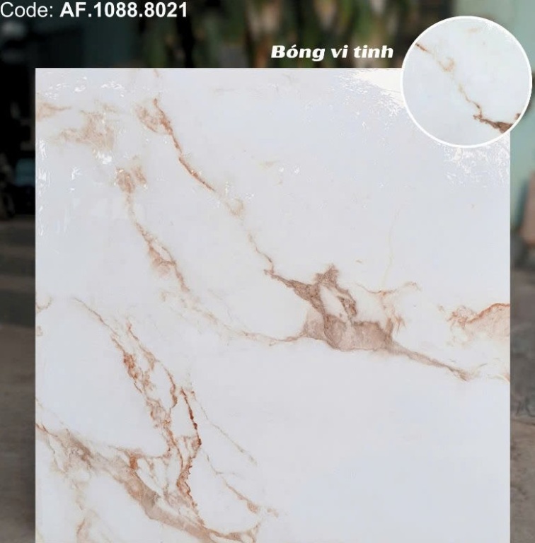 Apodio - AF.1088.8021